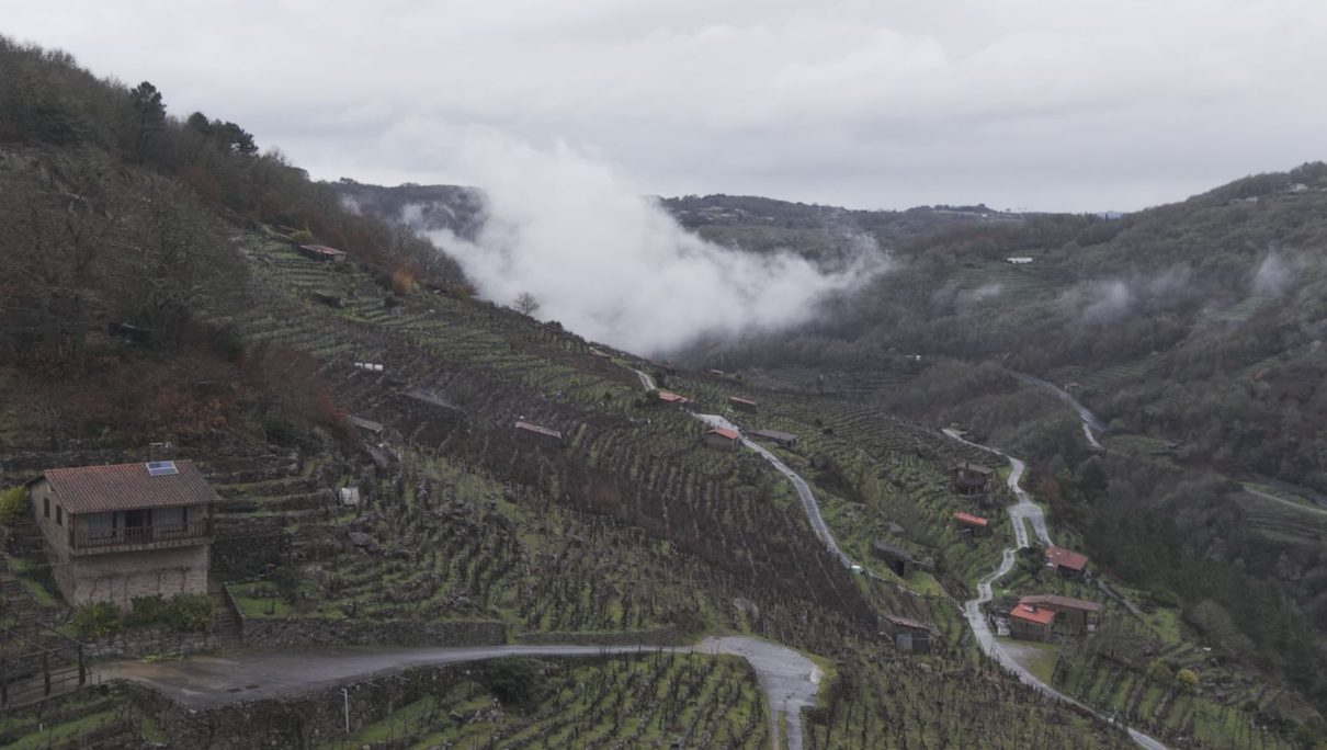 A VITICULTURA HEROICA EN LUGO