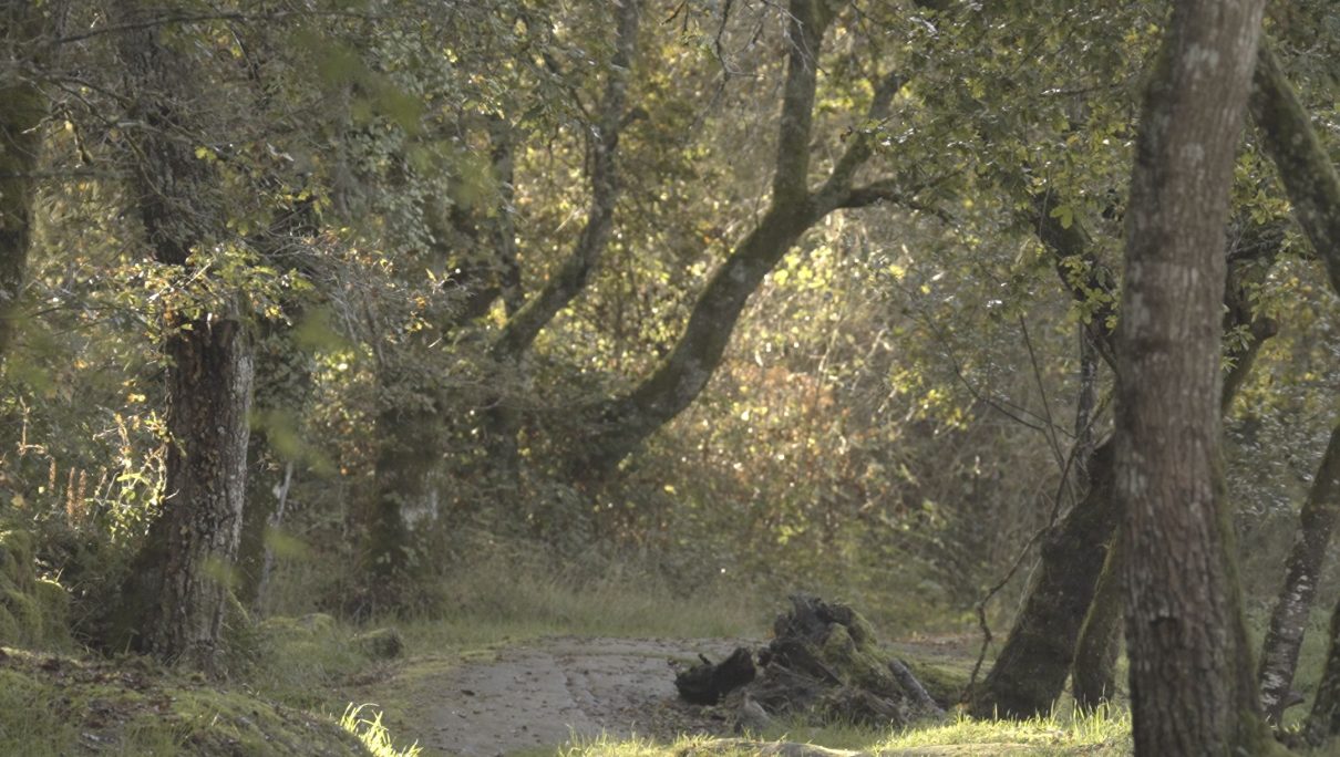 RUTAS PARA PERDERSE NA NATUREZA