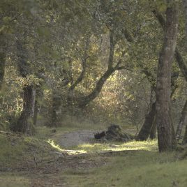 RUTAS PARA PERDERSE NA NATUREZA